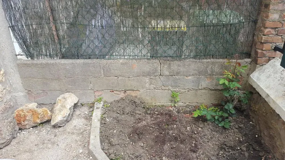 Renovations exterieures (3)